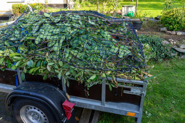 Shed Removal in Tri City, OR